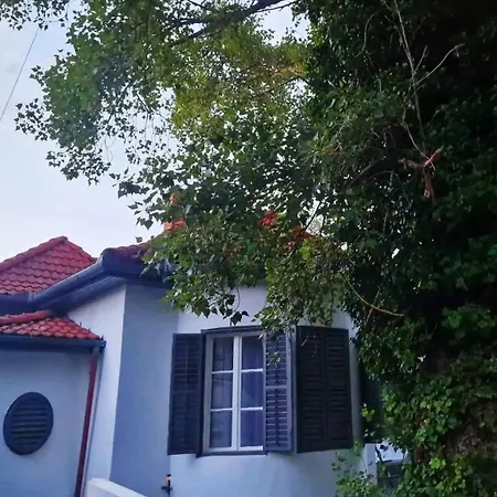 Sunset House